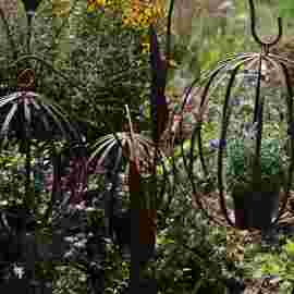 gartenmarkt 2012