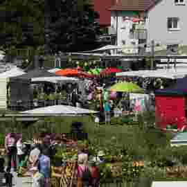 gartenmarkt 2012