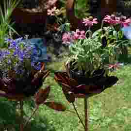 gartenmarkt 2012