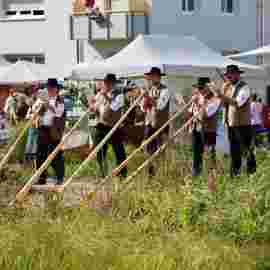 gartenmarkt 2012