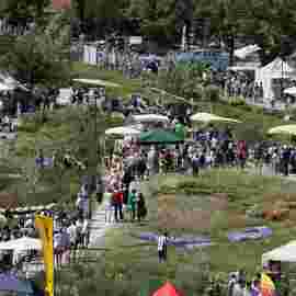gartenmarkt 2012