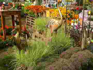 gartenmarkt samstag 2018 bilder