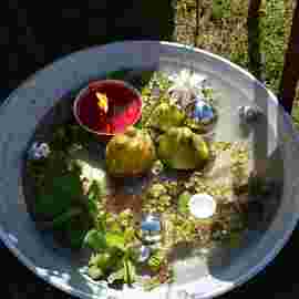 sonntag