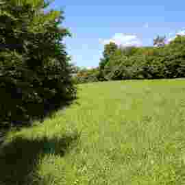 sonntag