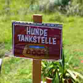 sonntag