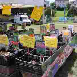 gartenmarkt auf/abbau 2024