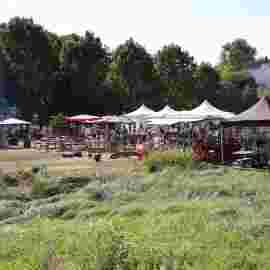 gartenmarkt sonntag