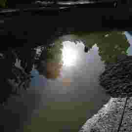 sommertraumsee 2021
