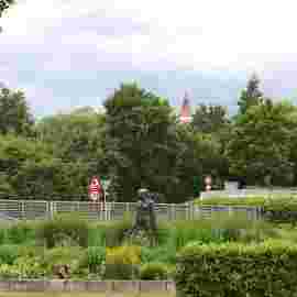 gr&uuml;ne mitte
