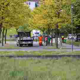 pflanzaktion 19.05.2026