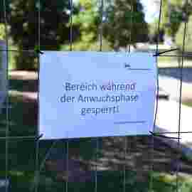 sommertraumsee sanierung 03.07.2026