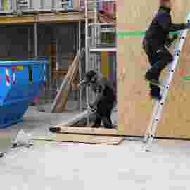 holzbau 2021/22