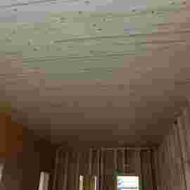 holzbau 2021/22