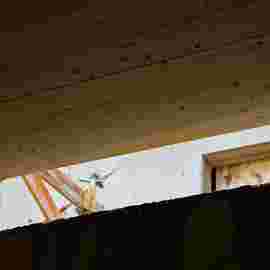 holzbau 2021/22