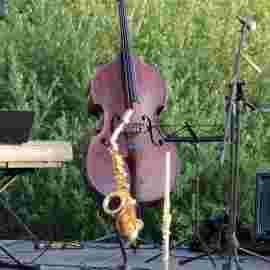 jazz im park 2020/21