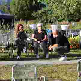 jazz im park