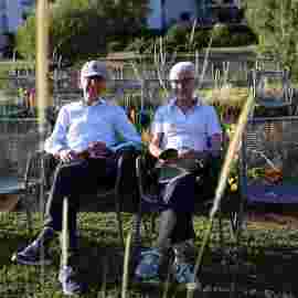 jazz im park