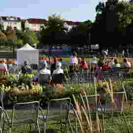 jazz im park