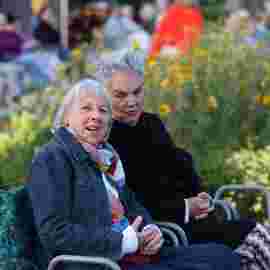 jazz im park
