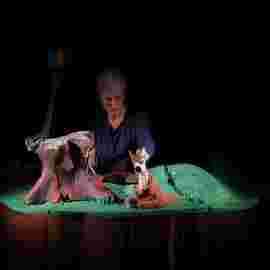 winnie puuh, theater en miniature, leimen
