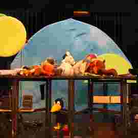 alles mein: sagt der kleine rabe socke/tearticolo theater
