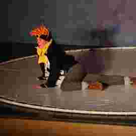 der dickste pinguin vom pol/theater patati-patata