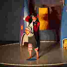der dickste pinguin vom pol/theater patati-patata