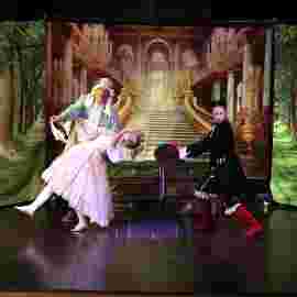 der gestiefelte kater/theater tredeschin 2. platz