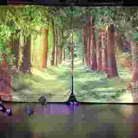 der gestiefelte kater/theater tredeschin 2. platz
