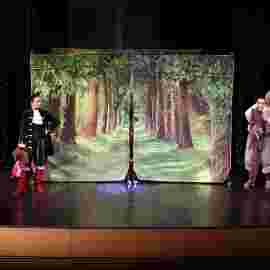 der gestiefelte kater/theater tredeschin 2. platz