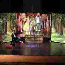 der gestiefelte kater/theater tredeschin 2. platz