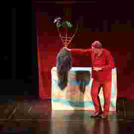 peter und der wolf/chaus&eacute;e theater