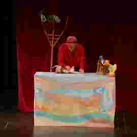 peter und der wolf/chaus&eacute;e theater