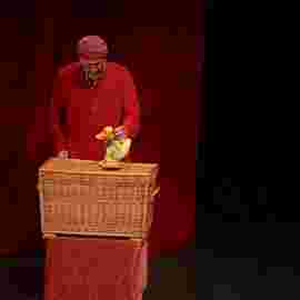 peter und der wolf/chaus&eacute;e theater