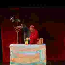 peter und der wolf/chaus&eacute;e theater