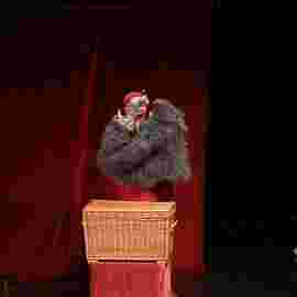 peter und der wolf/chaus&eacute;e theater