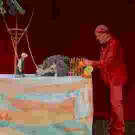 peter und der wolf/chaus&eacute;e theater