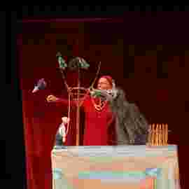 peter und der wolf/chaus&eacute;e theater