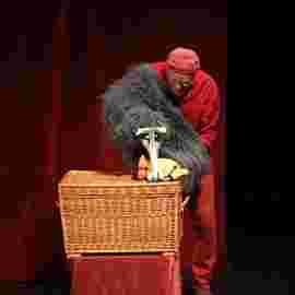 peter und der wolf/chaus&eacute;e theater