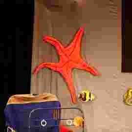 &bdquo;mini mutig und das meer&ldquo; theater sturmvogel