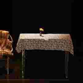 &bdquo;peter und der wolf&ldquo; marotte theater,