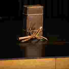 &bdquo;peter und der wolf&ldquo; marotte theater,