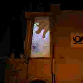 kuh liselotte