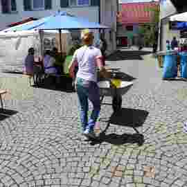 kreidezeit 2014