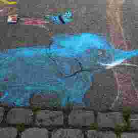 kreidezeit 2014