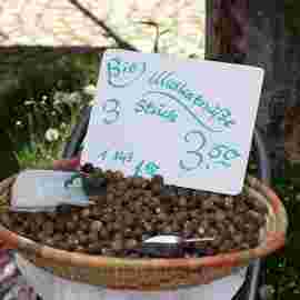kunst - kreativ gemeinde 05.05.2024