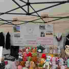 markt