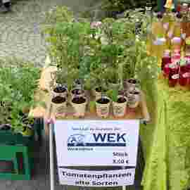 markt