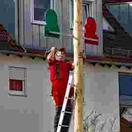 narrensprung baum 2020