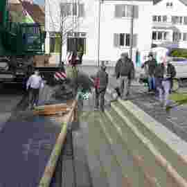 narrensprung baum 2020